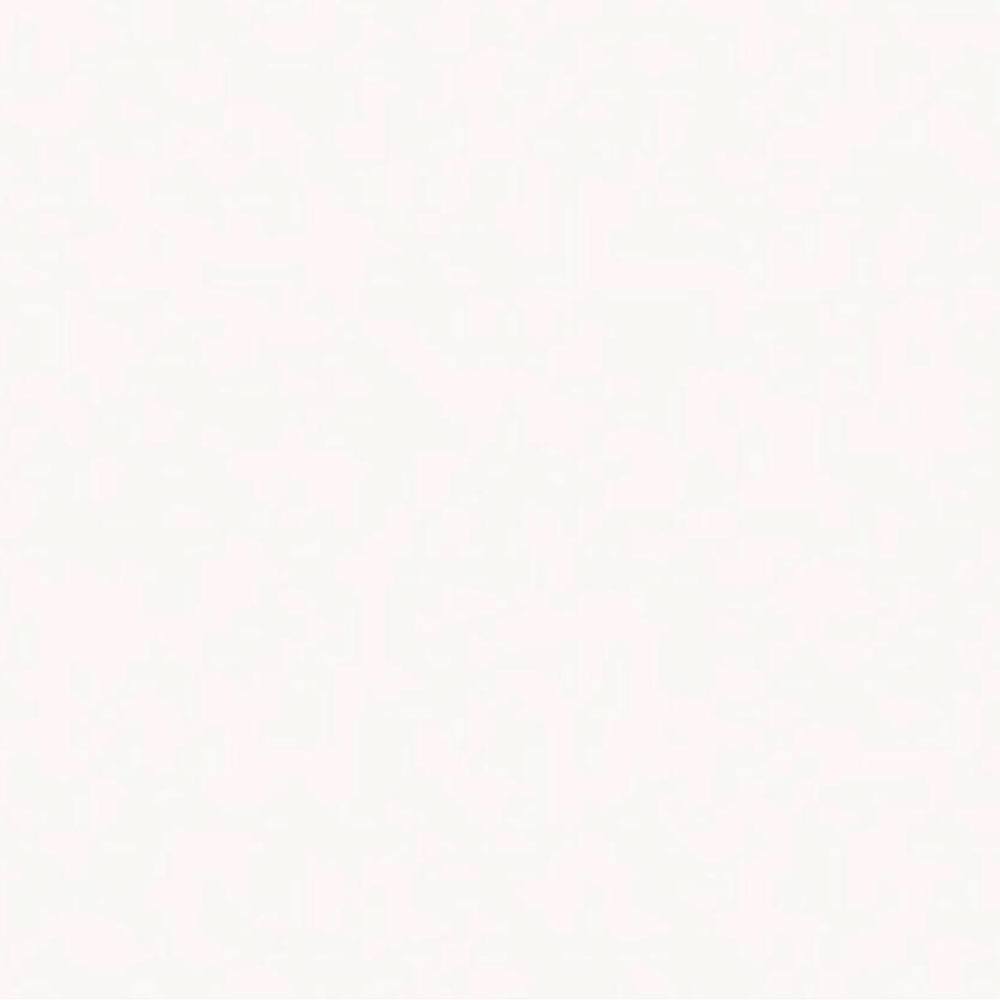Blanco White Snow